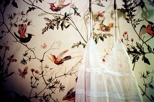 birds, ilustration and lace