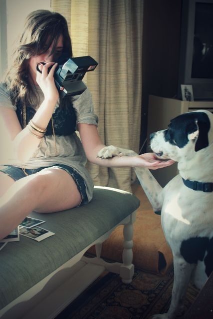 camera, dog and girl