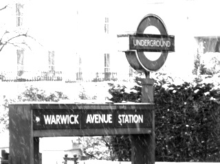 avenue,  black and  london