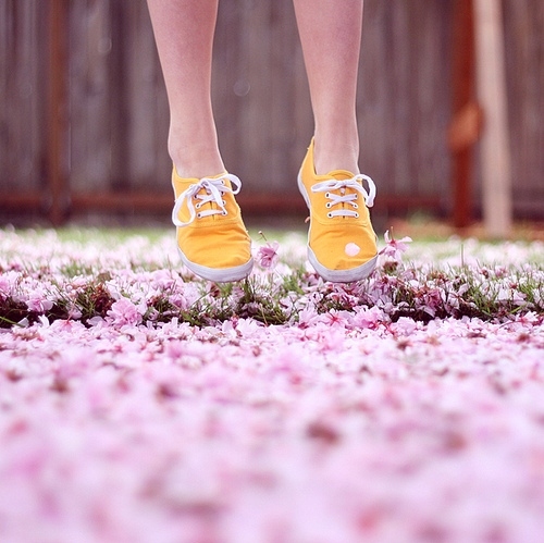 feet, flowers and fly