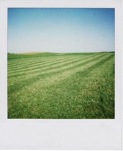 field, forever and grass
