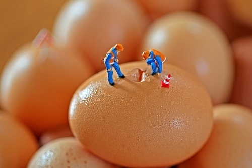 construction workers, eggs and hole