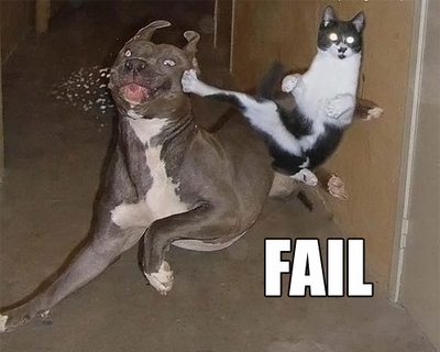 cat, dog and fail dogs