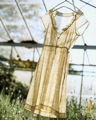 dress, greenhouse and light