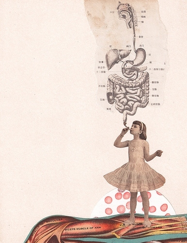 anatomy, collage and girl