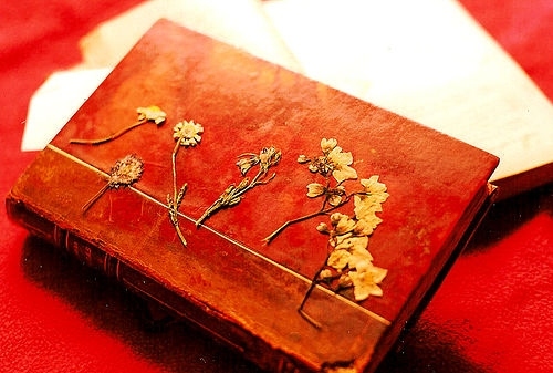 antique, book and flowers