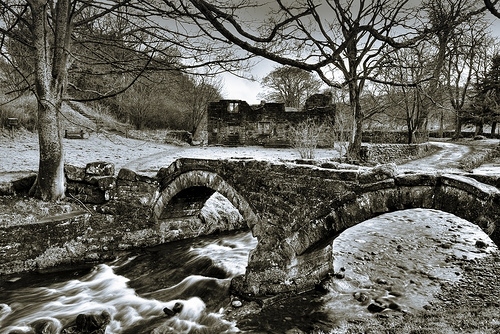 black and white, bridge and bronte