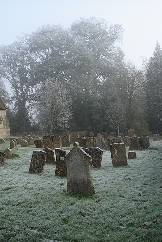 cemetery, dew and england