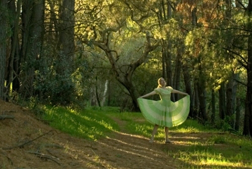 dress, fashion and forest