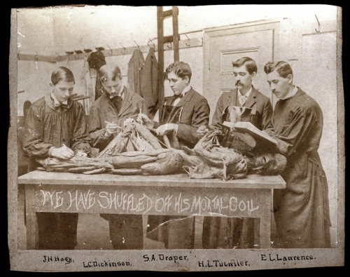 19th century, anatomy and autopsy