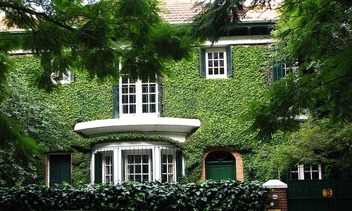 dream house,  exterior and  green