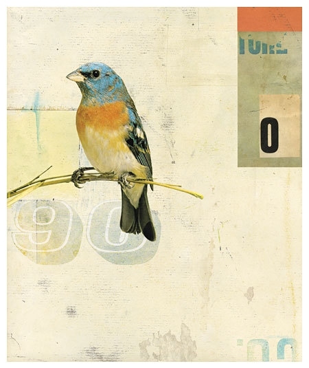 art, bird and collage