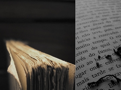 book, books, diptych, frayed, old, pages