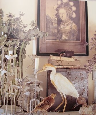 antique, birds and books