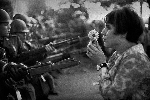 flower,  gun and  hippie
