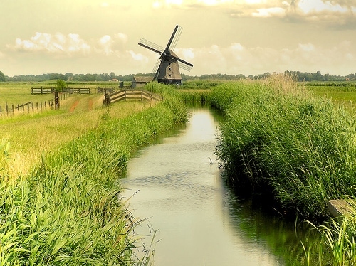 country, holland and nature