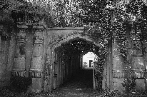 architecture, black and white and egyptian avenue