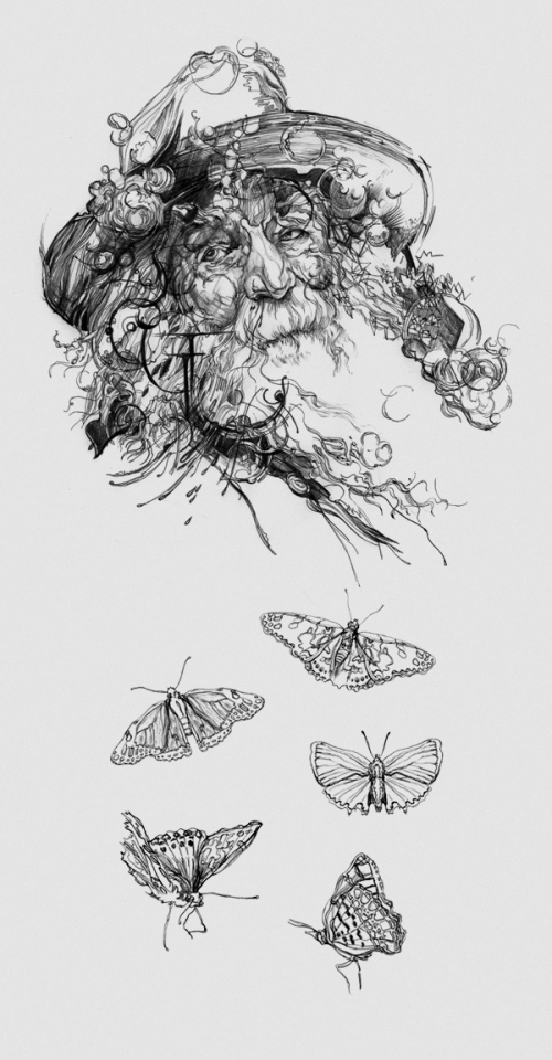 beard black and white butterflies drawing illustration old man