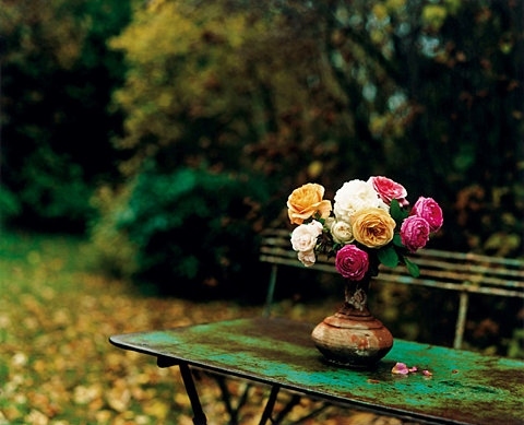 bench, colourful and flowers