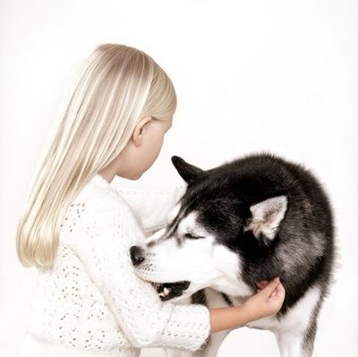 dog, girl and husky