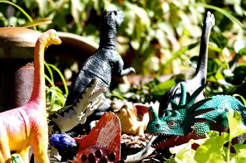 animal, colorful and dinosaur