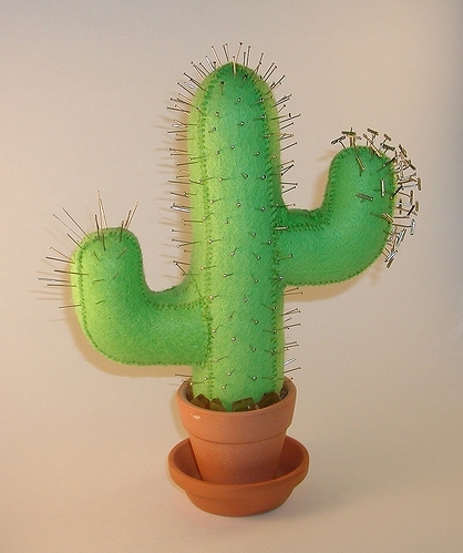 cactus, craft and gifts