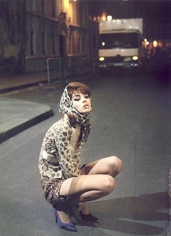 fashion, leopard print and night