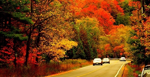 autumn,  car and  colors