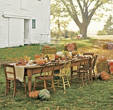 autumn, chairs and dining