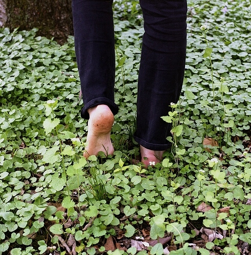 clover, feet and green