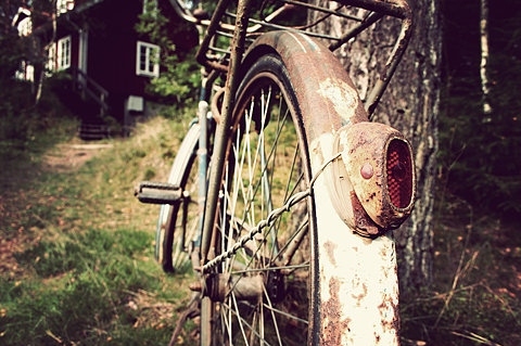 beautiful,  bicycle and  bike