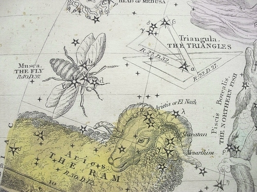 cartography, constelaciones and constellations