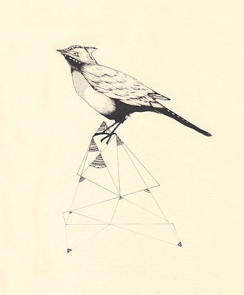 bird, drawing and geometry