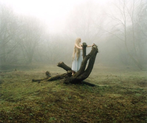 dreamy, fairy and fog