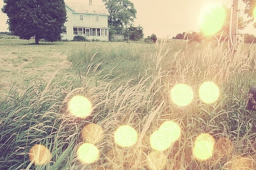 bokeh, country and farm house