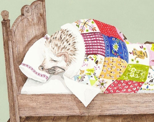 fauna, hedgehog and illustration