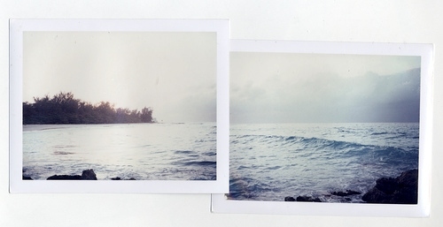 diptych,  photography and  polaroid