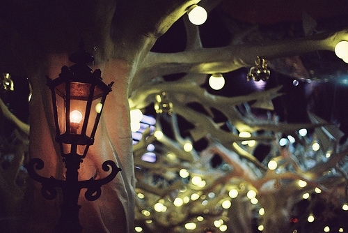 lanterns, lights and night