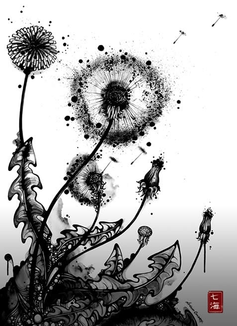 black and white, dandelion and drawing