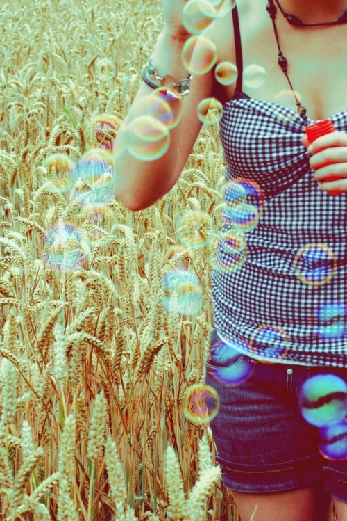 bubbles, field and gingham