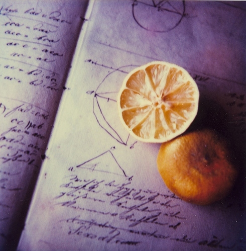 book, fruit and oranges
