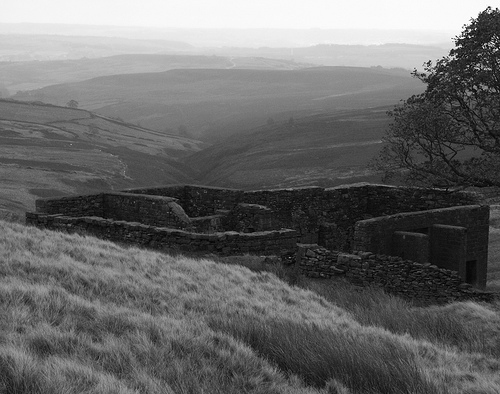 black and white, bronte and countryside