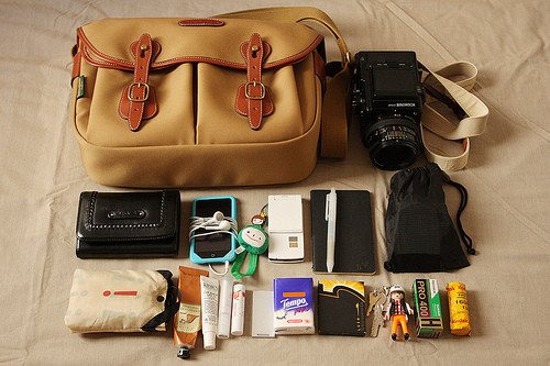 bag, organization and personal