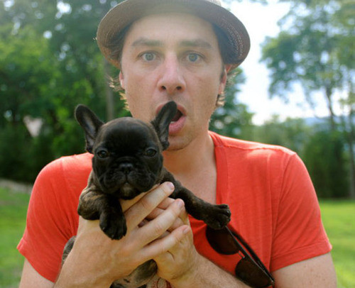 celebrity, cute and french bulldog