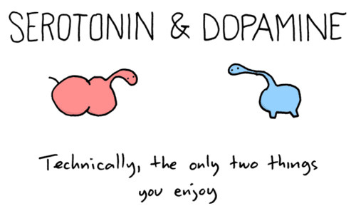 dodododo,  dopamine and  funny