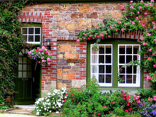 beautiful color, beautifull blossoms and exterior