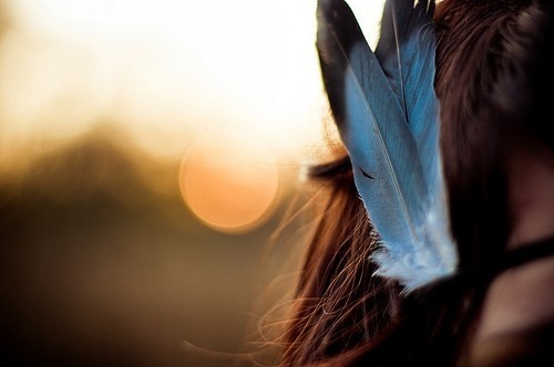 accesories, blue and feather