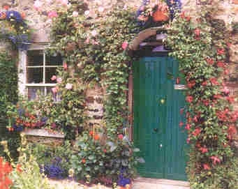 cottage,  english garden and  flowers