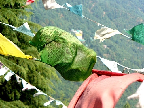 buddhism, dharamsalla and flag