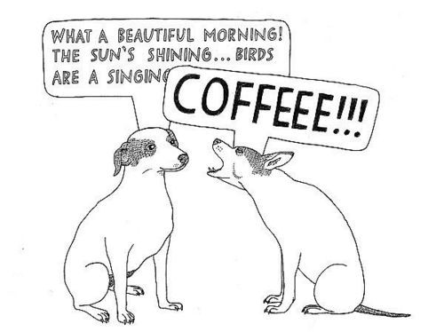 coffee, coffeee morning and coffeee!!!